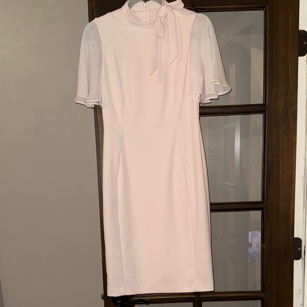 Calvin Klein Pink Dress with Sheer Sleeves